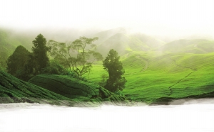 茶祖栖居的地方2014年03月29日 星期六06 云