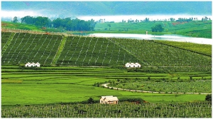 红河模式:预示经济新常态下旅游产业发展新方