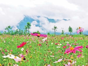 以四季江东引领四季固东2016年09月09日 星期