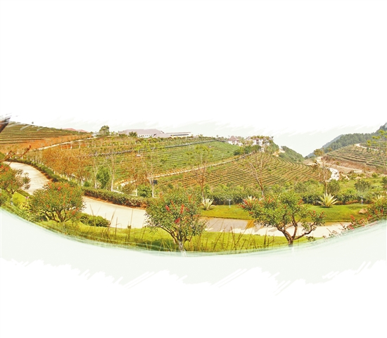 月新番 黄毅清骂霍思燕 洛克王国星象仪 合肥水