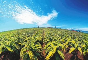 红土地活力四射2012年09月17日 星期一06 走