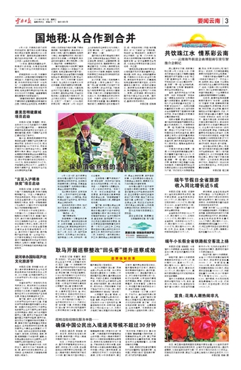 国地税:从合作到合并2018年06月20日 星期三0