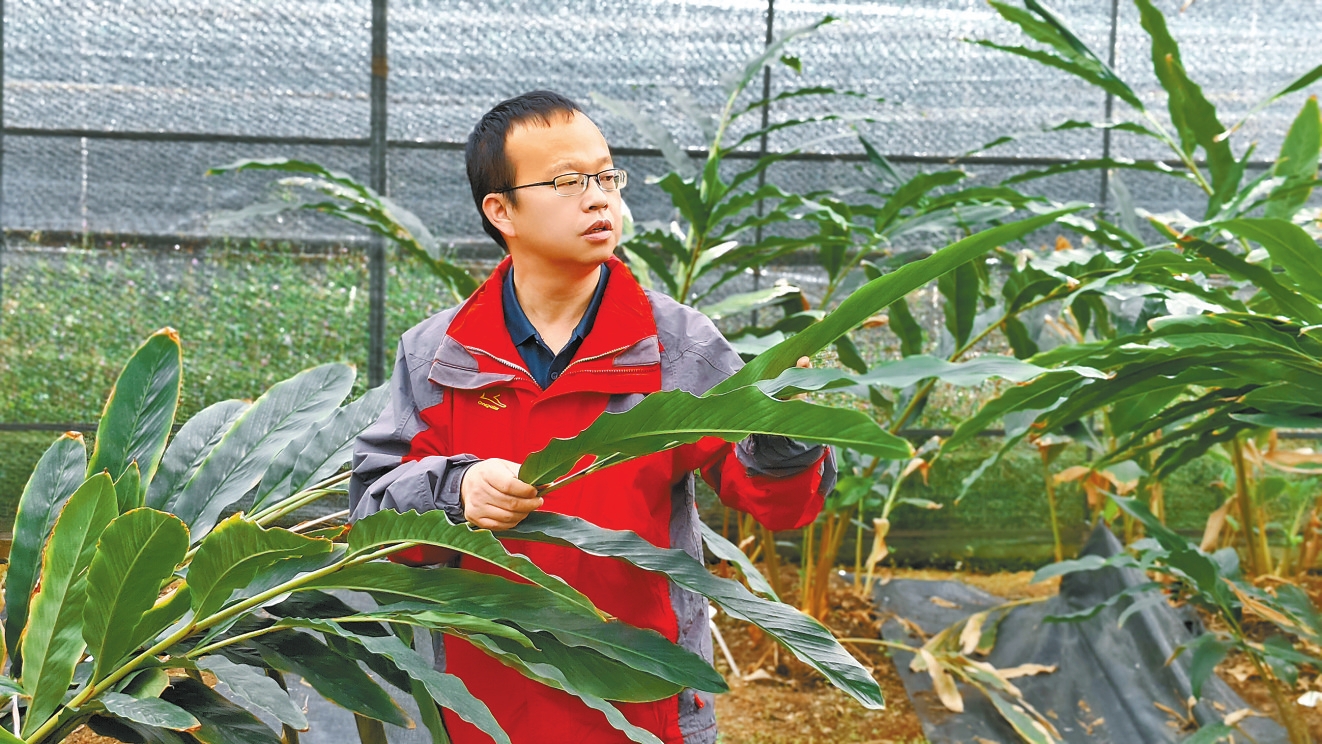 全国先进工作者张金渝——峡谷深处 播种希望